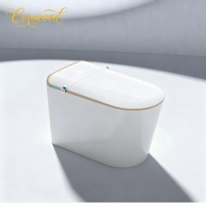 AuraSpa Series Smart Toilet